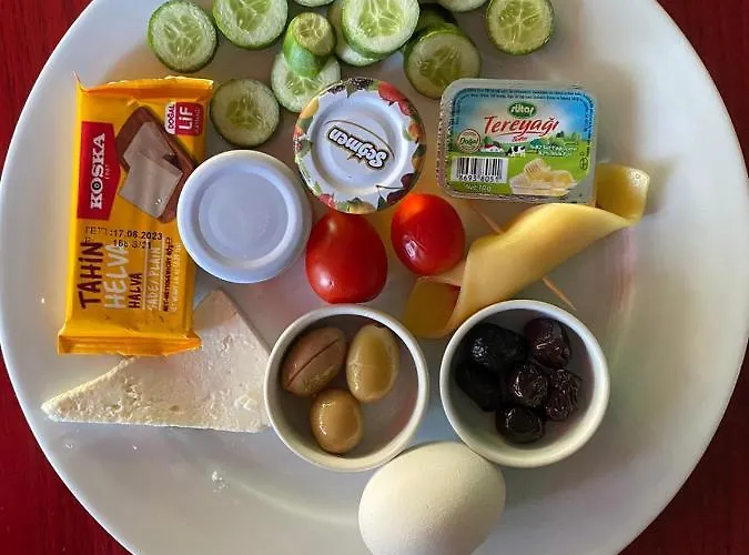 Atos فندق إسكيشير